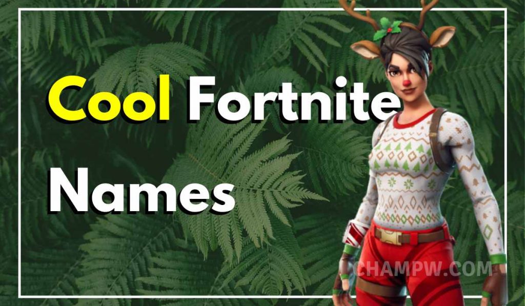 Fortnite Names Cool Funny And Unique Ideas Techywhale